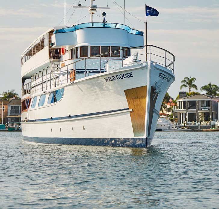 City Cruises